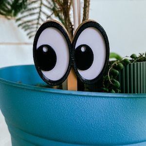 Side-Eye Stakes - Add Silly Emoji Eyes to Indoor Plant Pots - Great Gift for Coworker, Teacher, or Friend