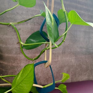 Modular Plant Chain: Mid Century Modern Indoor Plant Trellis