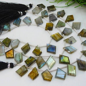 14Piece Labradorite Faceted Briolette,Fancy,Multi Fire,Hut,Pantagon,Trapezoid,Marquise,Crown Cut,Teardrop 15X10To12X10MM Approx BSJ-BR1