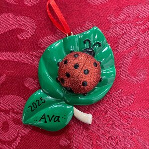 Adorno personalizado de mariquita