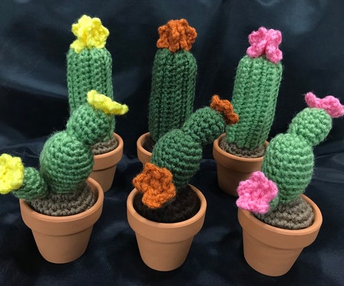Crochet Cactus for unique gifts for women