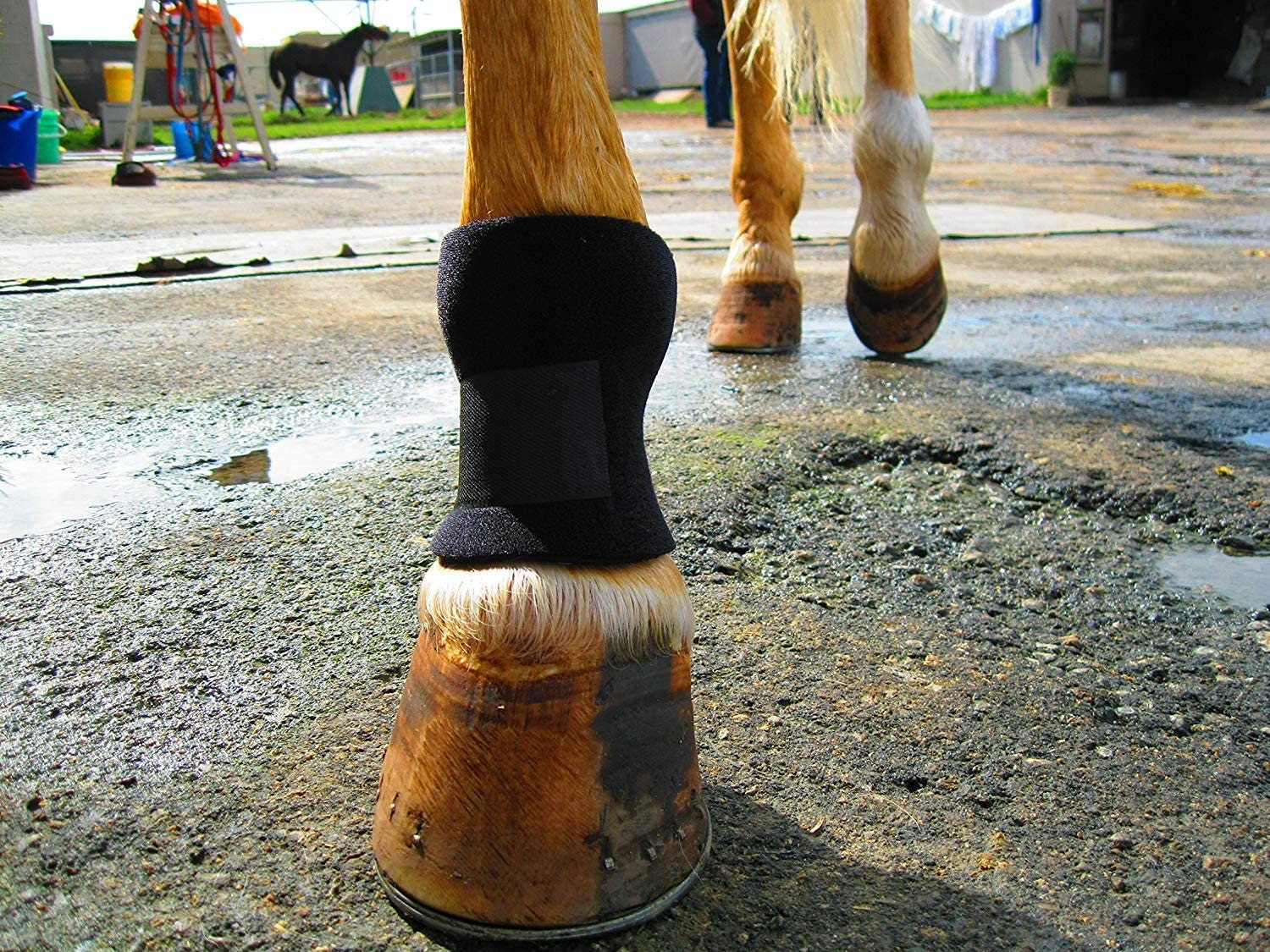 Equipro Bedsore Boots for Horses Comfortable Protect Fetlock From
