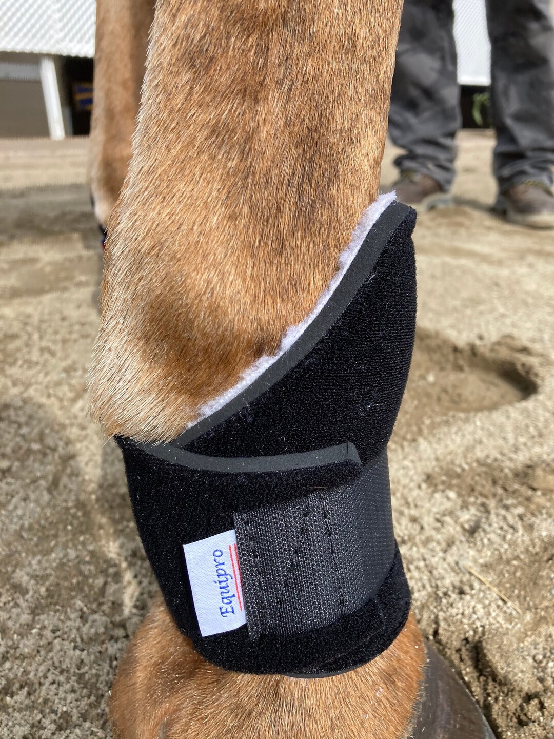 Horse bed sore clearance boots