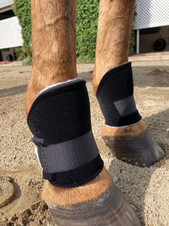 Bedsore Boots Horses-Vet recommended You are buying ONE PAIR of boots. Bedsore Boots Horses-Vet recommended You are buying ONE PAIR of boots.