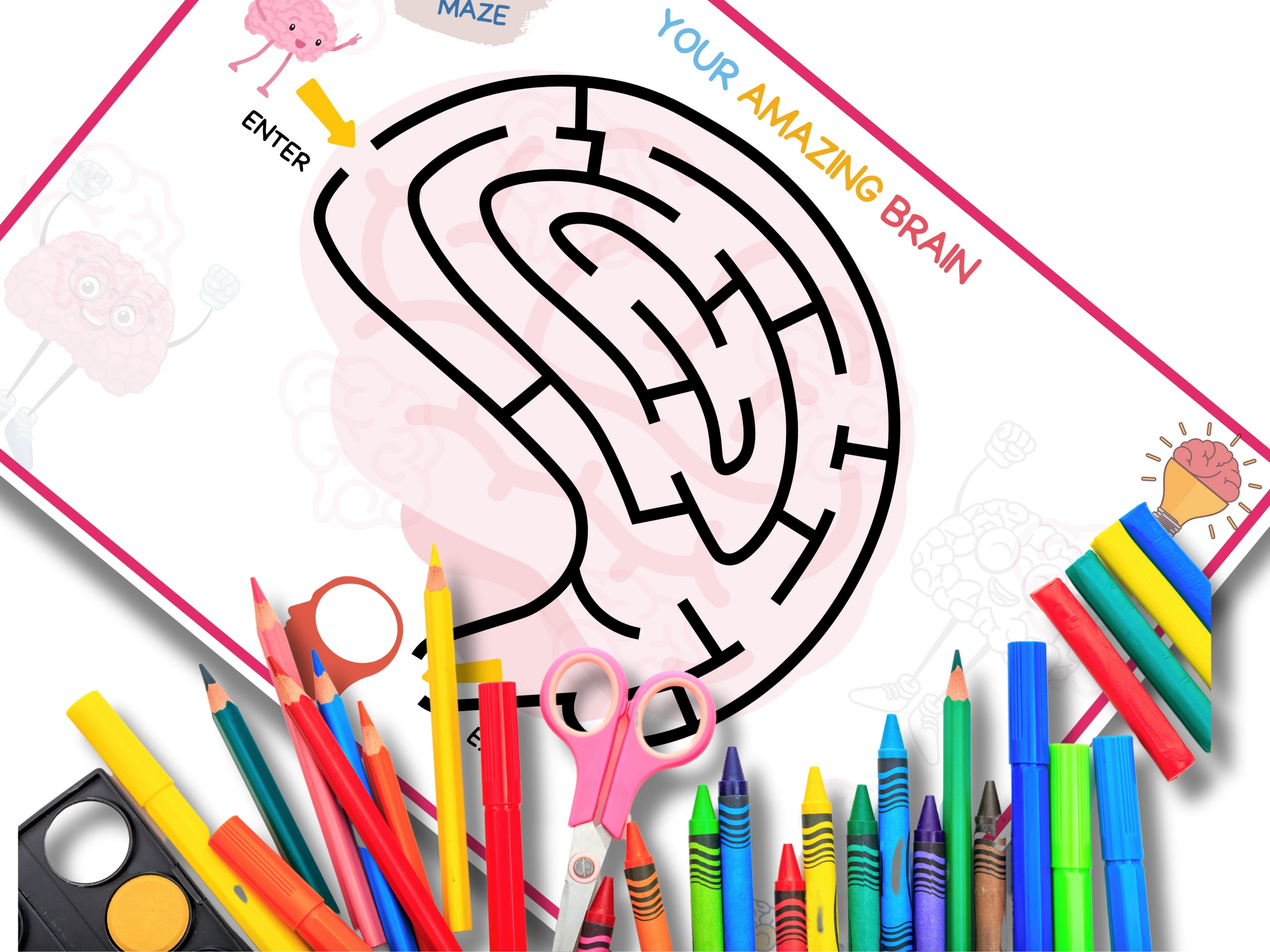 Human Brain Anatomy Busy Book Digital Curriculum for Preschool Toddler ...