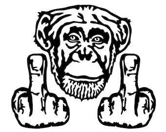 SCHIMPANS LÅNGFINGRAR - Vinyldekalklistermärke Bil Lastbil Bakruta Vägg Stötfångare Flip Off Apa Flipande Fågeln Djur Afrika Rolig Jdm