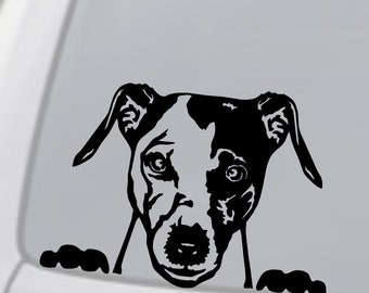Jack Russell Terrier vinyldekal - rolig hund bilklistermärke