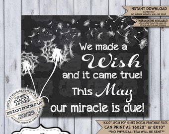 Dandelion Wish Chalkboard Pregnancy Announcement | Photo Prop | Printable Poster | New Miracle | Wish for Baby | Expecting Sign | May