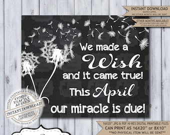 Dandelion Wish Chalkboard Pregnancy Announcement | Photo Prop | Printable Poster | New Miracle | Wish for Baby | Expecting Sign | April