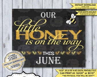 Little Honey Chalkboard Pregnancy Announcement Photo Prop | Spring Bumble Bee Baby Reveal Printable Poster | June Instant Download Sign