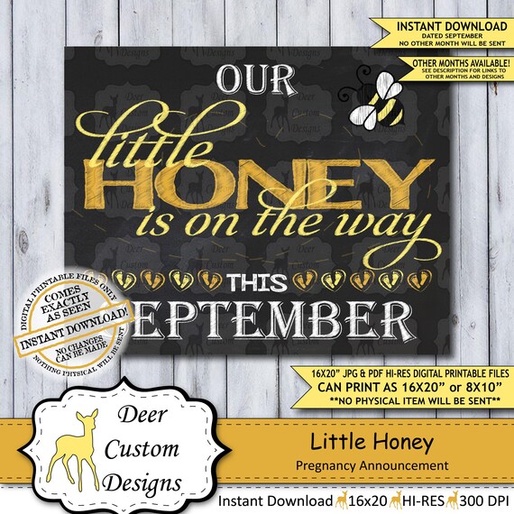 Little Honey Chalkboard Pregnancy Announcement Photo Prop | Spring Bumble Bee Baby Reveal Printable Poster | September Instant Download Sign Il_570xn