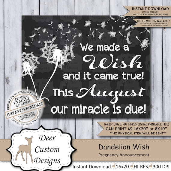Dandelion Wish Chalkboard Pregnancy Announcement | Photo Prop | Printable Poster | New Miracle | Wish for Baby | Expecting Sign | August Il_570xn