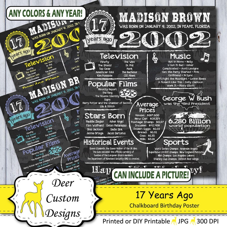 Year You Were Born Chalkboard Poster Printable or Printed Born in 2002 Birthday Gift 17 Years Ago Birthday Sign 17th Birthday Poster