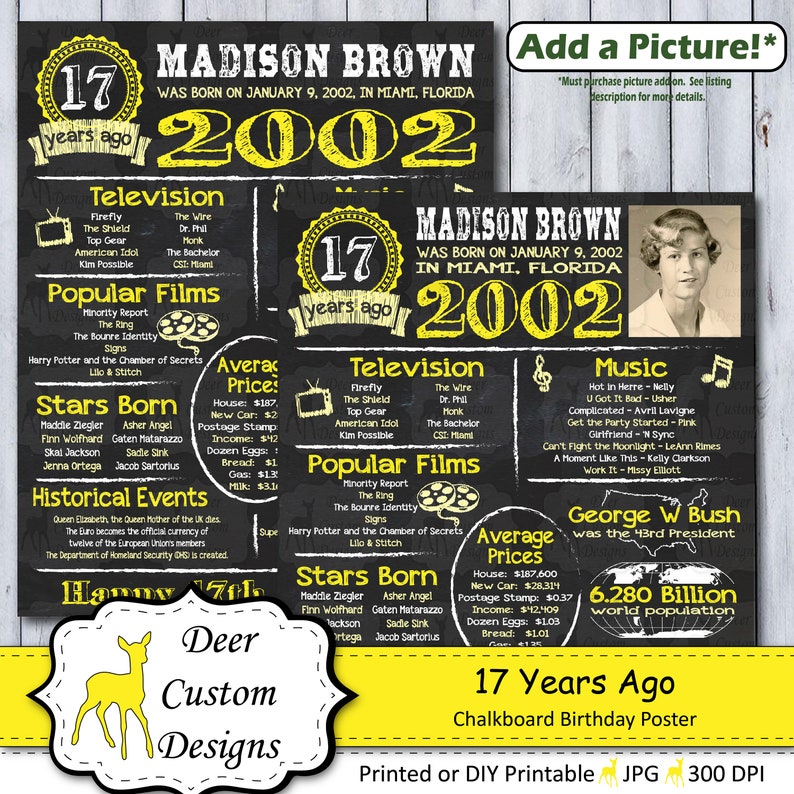 Year You Were Born Chalkboard Poster Printable or Printed Born in 2002 Birthday Gift 17 Years Ago Birthday Sign 17th Birthday Poster