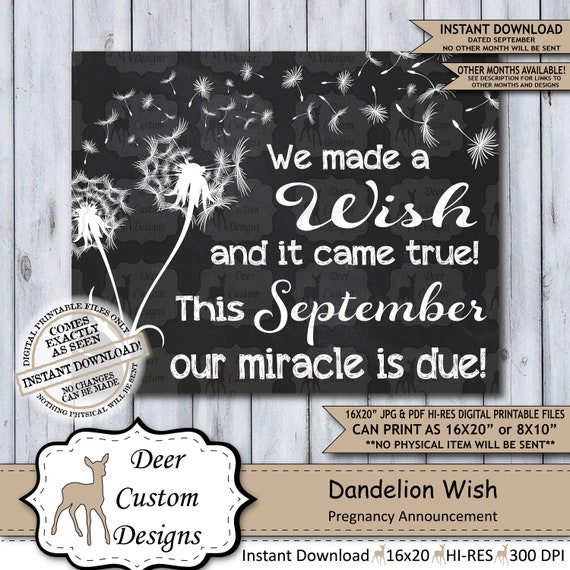 Dandelion Wish Chalkboard Pregnancy Announcement | Photo Prop | Printable Poster | New Miracle | Wish for Baby | Expecting Sign | September Il_570xn