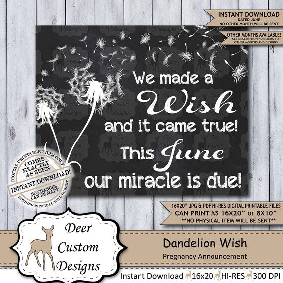 Dandelion Wish Chalkboard Pregnancy Announcement | Photo Prop | Printable Poster | New Miracle | Wish for Baby | Expecting Sign | June Il_570xn