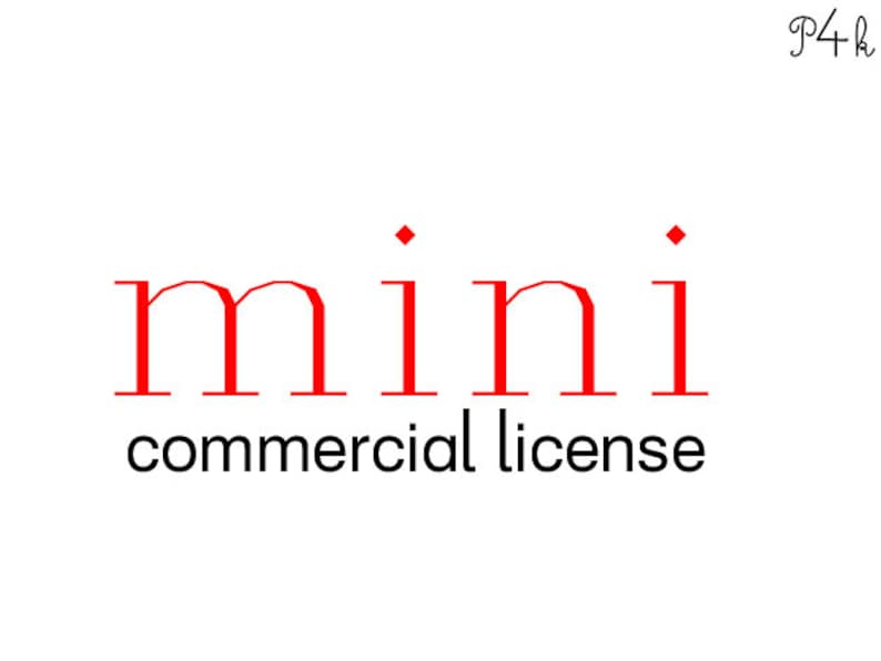 Non commercial license Non commercial license