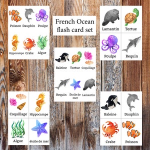 Oceano francese apprendimento schede flash/apprendimento mappe Flash oceano francese