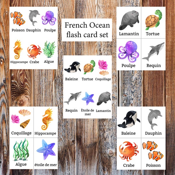 French Ocean Learning Flash cards /   cartes flash d'apprentissage océan français