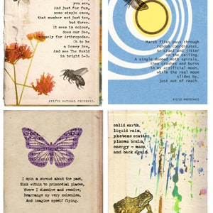 30 Days collection of illustrated science and nature poetry image 2