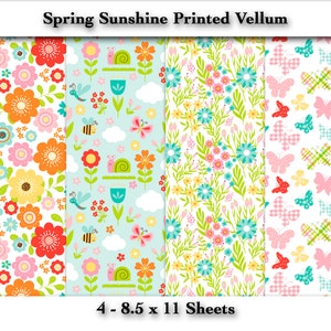 Premium Printed Vellum Sheets