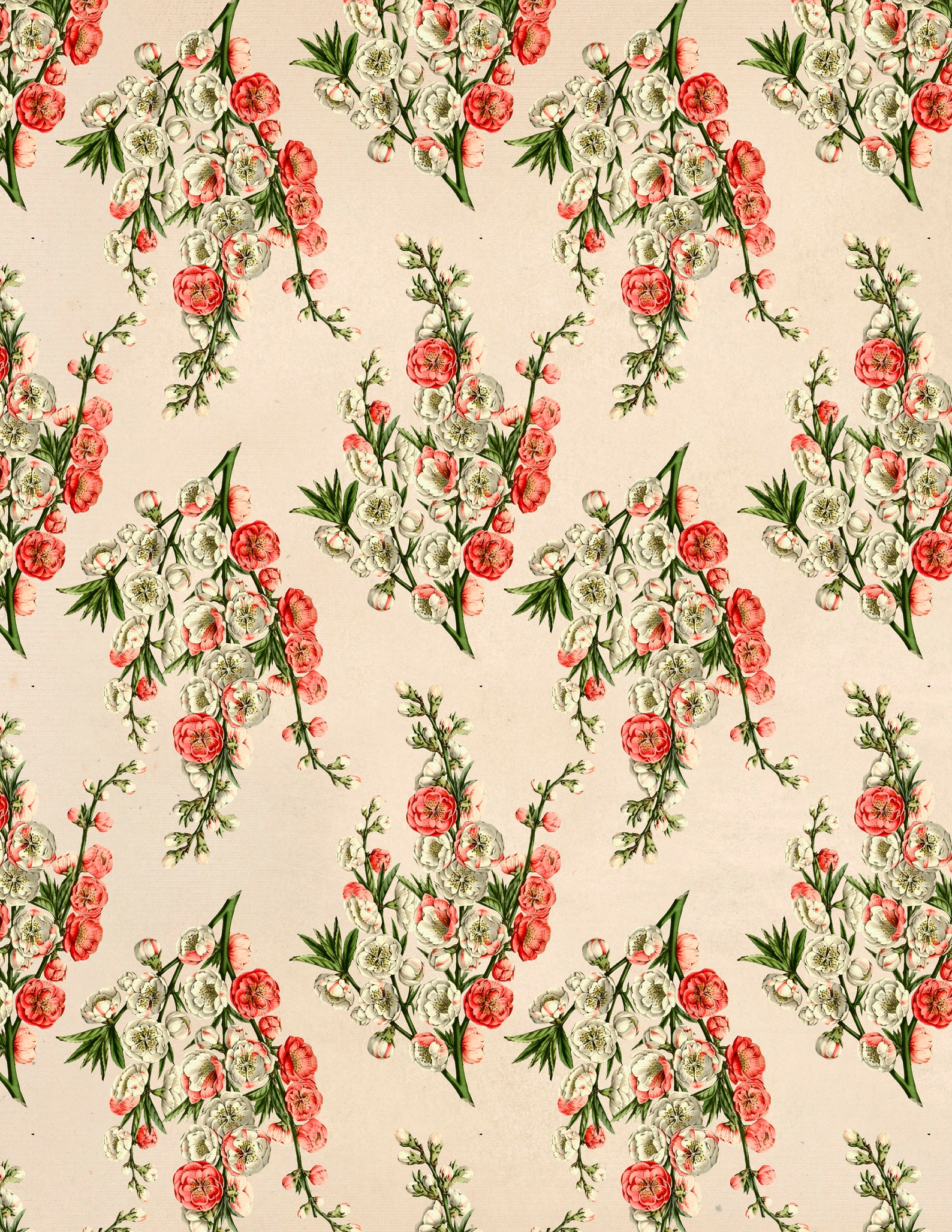 Vintage Printed Vellum Sheets//Patterned Vellum//Patterned Etsy