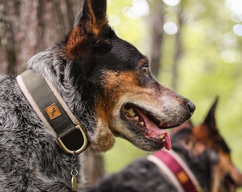 Custom Padded Webbing Dog Collar: Limited Slip Nylon, Durable, Made-to-Order