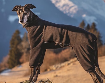 Dog pajamas, Dog jammies, Dog fleece sweater, Custom dog pajamas, Dog fleece clothes, Dog coat, Warm dog pajama, Dog overall