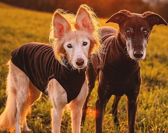 Measuring dog for sweater hot sale