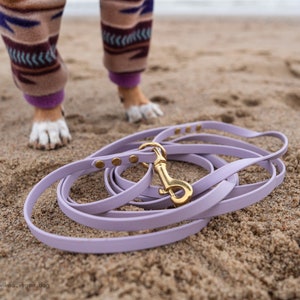Biothane Dog Leash: Waterproof Vegan Leather with Brass Hardware image 1