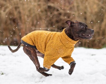 dog sweater with sleeves