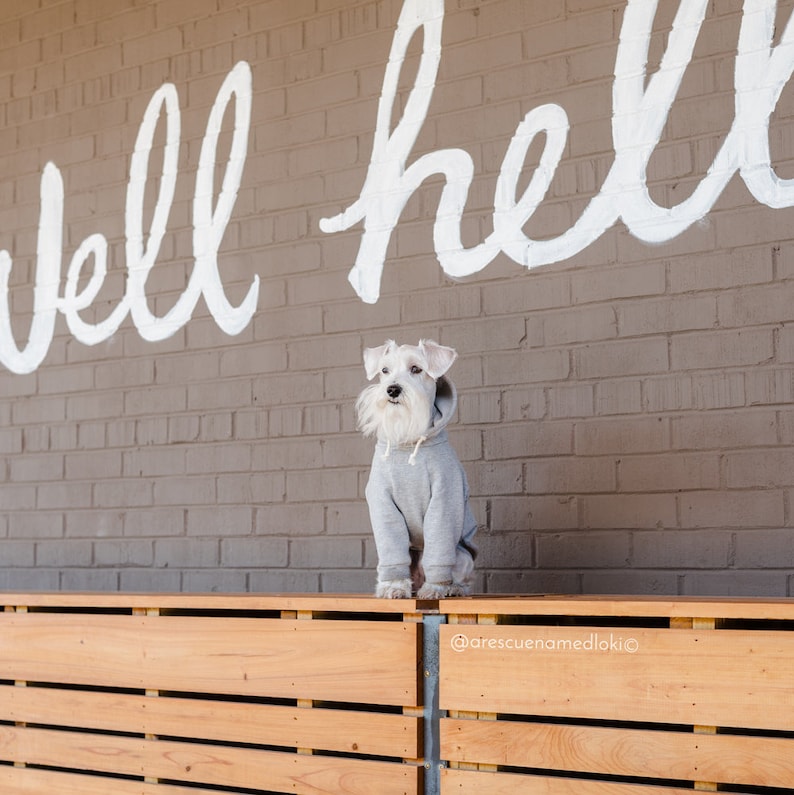 Raglan Dog Hoodie Dog Clothes Warm Dog Sweater Custom Dog Etsy