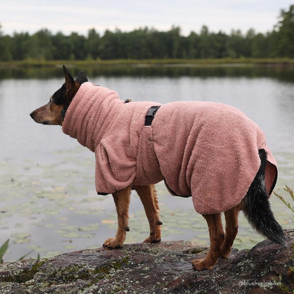 Albornoz de secado a medida para perros: Albornoz de tela de rizo Oeko-Tex, para todas las razas
