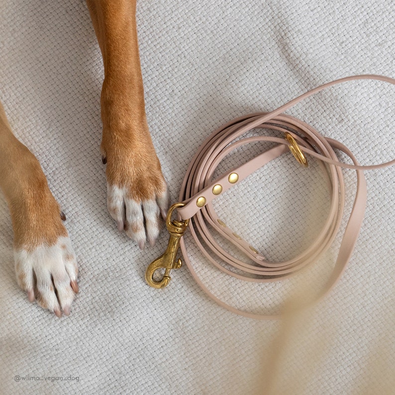 Biothane Dog Leash: Waterproof Vegan Leather with Brass Hardware image 7