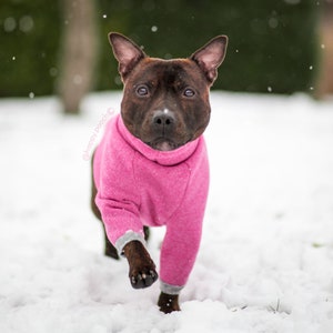 Warm dog coat, Dog sweater, Winter coat, Warm Dog pajama, Custom Dog Raglan Coat, Dog Jacket, Dog sweater for large and small dogs, CUSTOM image 6