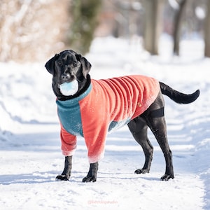 Made-to-measure dog fleece raglan sweater, Dog Pullover, Dock Jacket, Dog coat, Large dogs, Small dogs Dog pullover, Custom colours