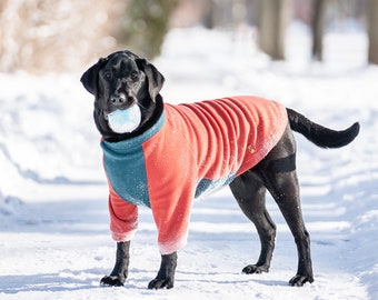 Made-to-Measure Dog Fleece Sweater: Custom Raglan Pullover