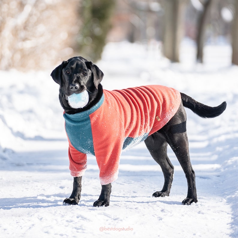 Made-to-measure dog fleece raglan sweater, Dog Pullover, Dock Jacket, Dog coat, Large dogs, Small dogs Dog pullover, Custom colours image 1