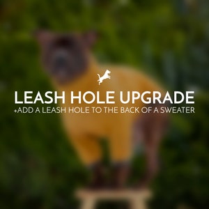 Leash hole upgrade Add a leash hole to the back of your dog's tailor made sweater order image 1