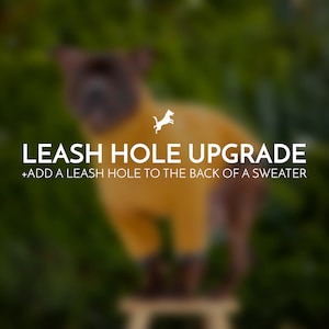 Op de afbeelding: Een hond die een gele trui draagt met de tekst "LEASH HOLE UPGRADE +ADD A LEASH HOLE TO THE BACK OF A SWEATER" erop.