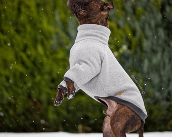 Manteau chaud pour chien, pull pour chien, manteau d'hiver, pyjama chaud pour chien, manteau raglan personnalisé pour chien, veste pour chien, pull pour chien pour grands et petits chiens, CUSTOM