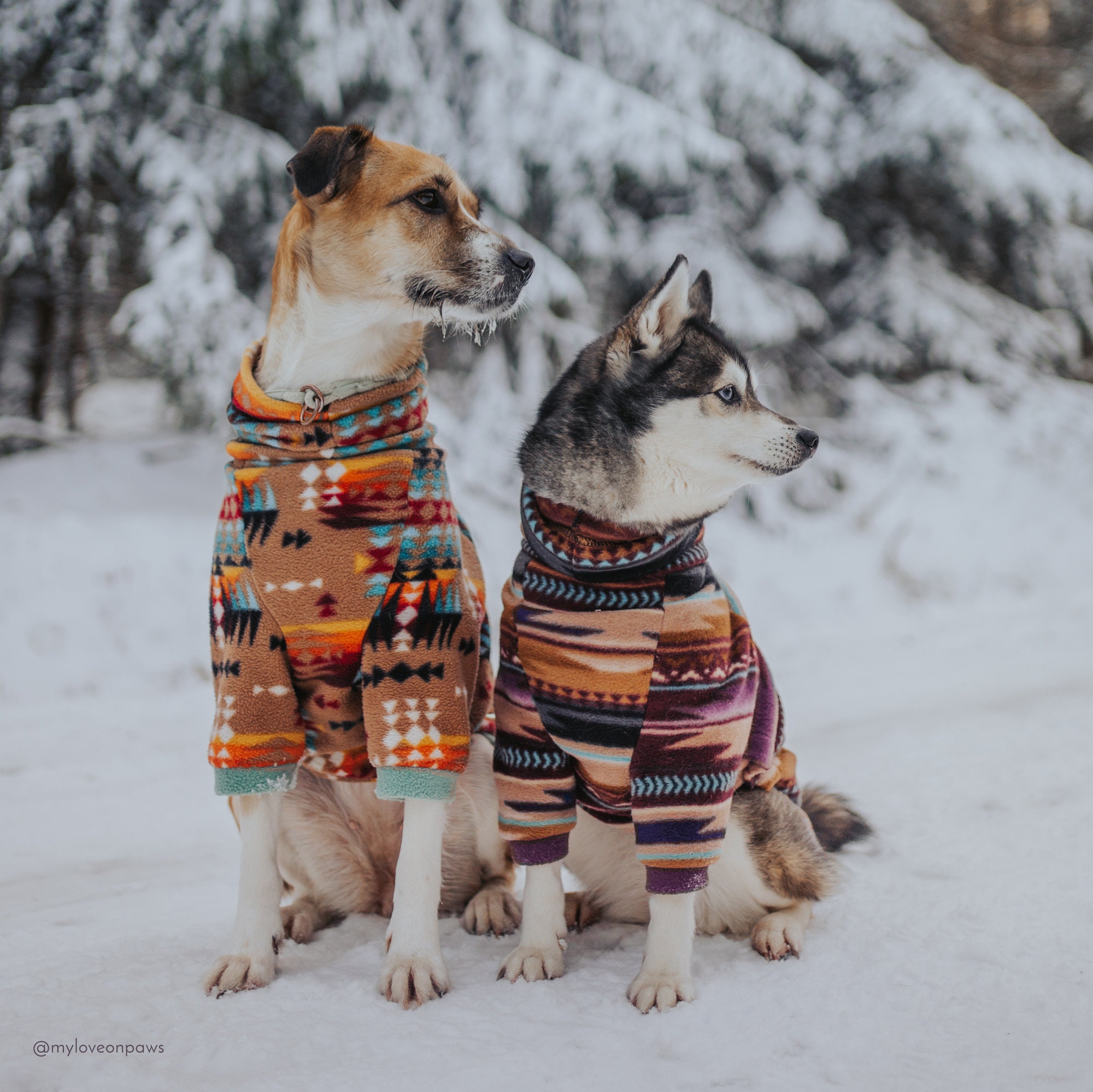 Fleece Raglanpullover für große Hunde, Southwestern Hundepullover