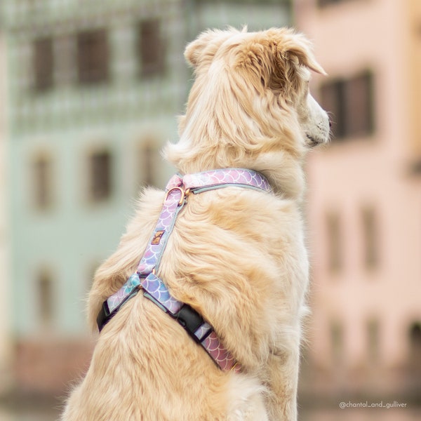 Fabric Dog Harness Etsy