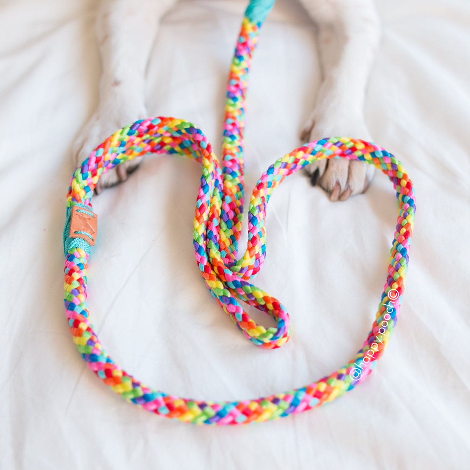Rainbow Dog Leash Strong Leash Rainbow Dog Lead Rope Leash Etsy