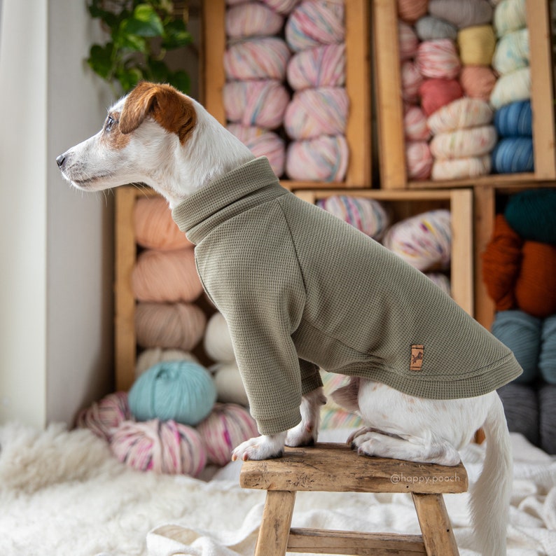 Dog Jumper Madetomeasure Dog Sweater Waffle Jersey Dog Etsy