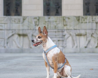 Harnais pour chien en tissu, harnais pour chien personnalisé, harnais pour chien réglable, harnais pour chien hydrofuge et anti-saleté, harnais en tweed en denim, sans frottement