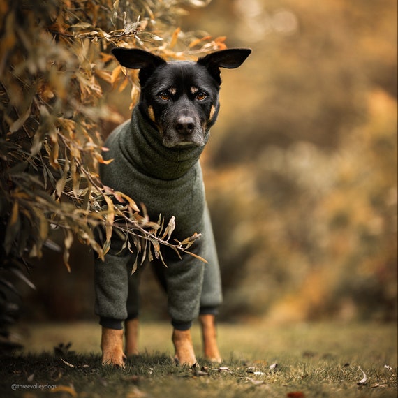 SAWMONG Fleece Hundepullover Winterjacke – Wärmender Rollkragen-Pullover Für Kleine Bis Große Hunde – Größe M, Rosenminze