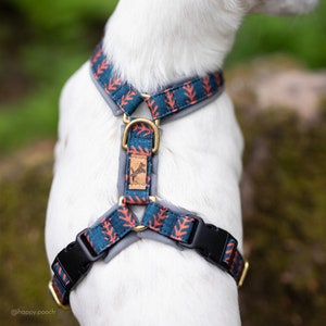 Boho dog harness, custom dog harness, adjustable dog harness, Hiking dog harnes, Big dog harness, small dog harness, chafe-free harness image 1