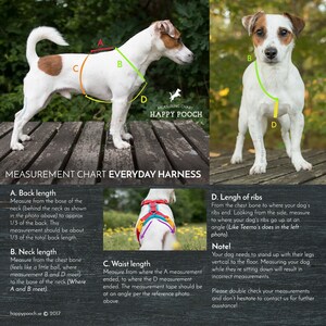 Boho dog harness, custom dog harness, adjustable dog harness, Hiking dog harnes, Big dog harness, small dog harness, chafe-free harness image 6