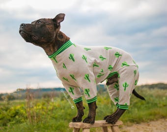 Hund, Pyjamas, Hund Jammies, Hund Jersey Body, benutzerdefinierte Hund Pyjamas, Vlies Hundebekleidung, Hundepullover, warmen Hund Pyjama, Hund insgesamt
